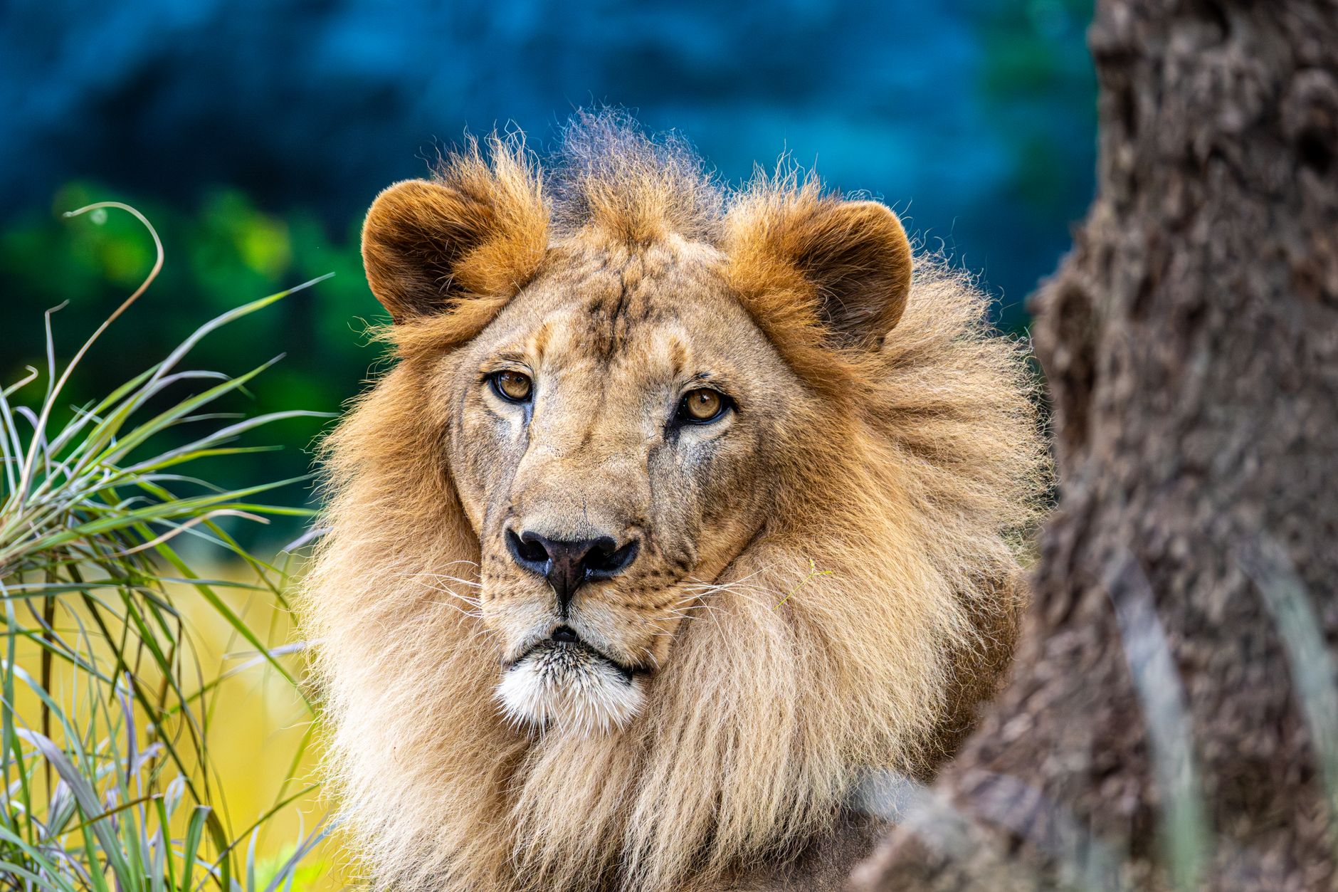 10 Days 7 Days In Rwanda Primate, Wildlife Safaris Kigali City Tour Beach Rwanda — Peak Season Package